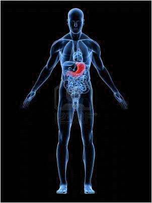 Informations patients responsables pathologies bucco dentaires